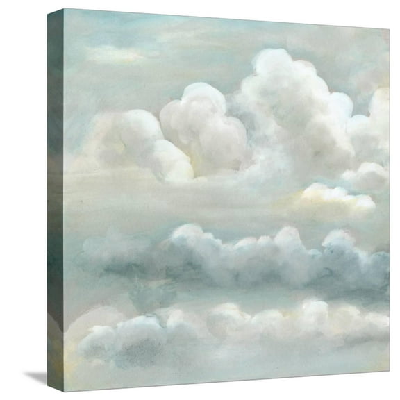 Art.com Cloud Study II Stretched Canvas Print Wall Art by Naomi McCavitt, 16" x 16"