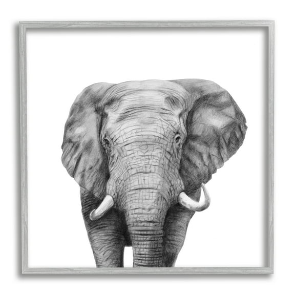 Stupell Industries Realistic Elephant Portrait Minimal Black White Wildlife Illustration Graphic Art Gray Framed Art Print Wall Art, 12x12, by Victoria Borges