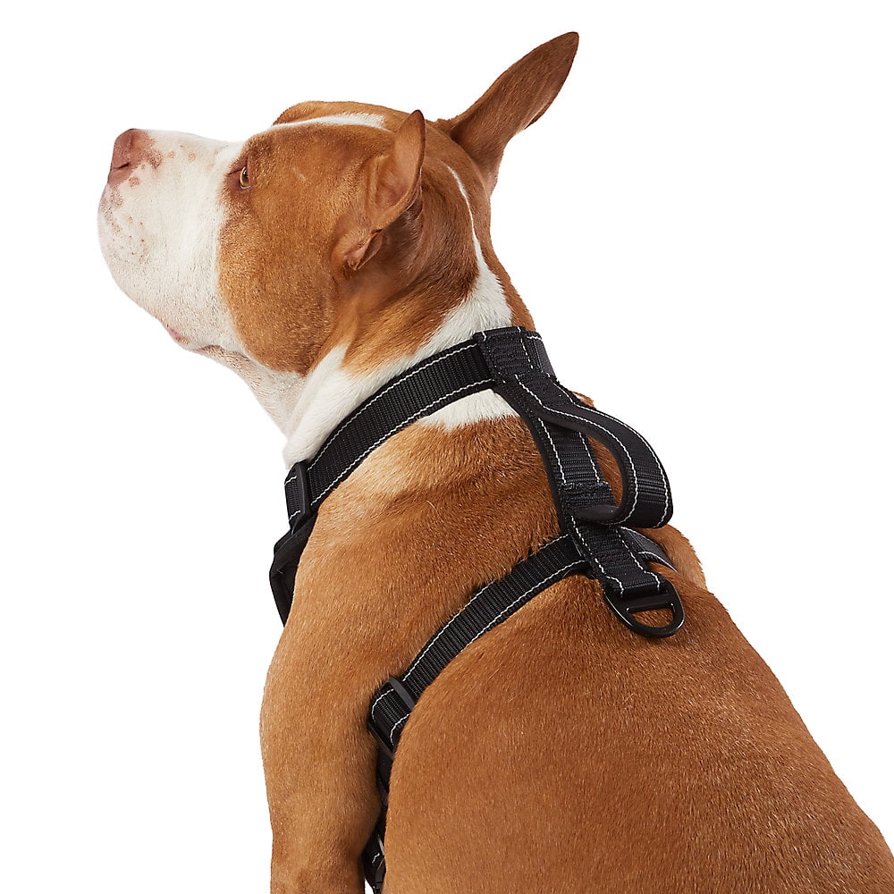 KONG Max Ultra Durable Neoprene Padded Chest Plate Dog Harness offered by The Barker Company (Black, Large)