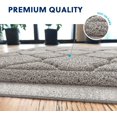 thumbnail image 4 of IGUOHAO Cat Litter Mat Jumbo, Kitty Litter Trapping Mess Mat Premium Durable Soft PVC Rug, No Phthalate, Urine Waterproof, Washable, Scatter Control, Litter Box Pad, 4 of 6