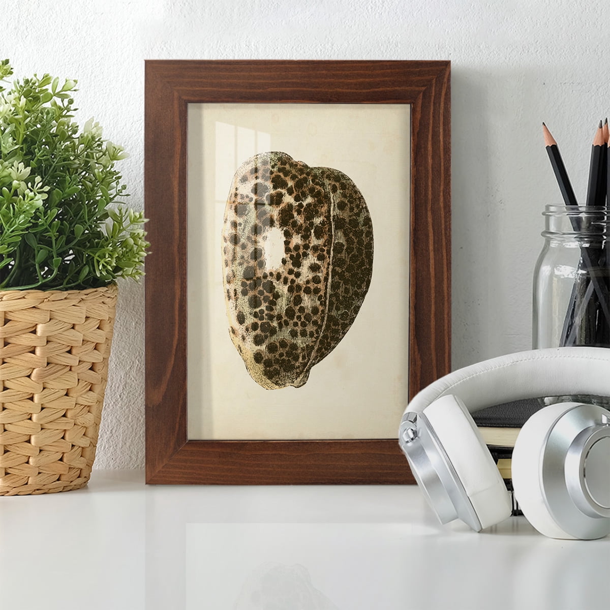 Sealife Collection III - Framed Print w/glass - Chestnut