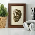 thumbnail image 6 of Sealife Collection III - Framed Print w/glass - Chestnut, 6 of 8