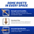 thumbnail image 3 of Fastenere Copper Pop Rivets - 1/8" x 3/16" (100 Pack) Copper Body Brass Mandrel, Heavy Duty, Open-End, Dome-Head Blind Rivets, Corrosion-Resistant & High Shear Strength, 4-3 Gap .126" - .187", 3 of 7