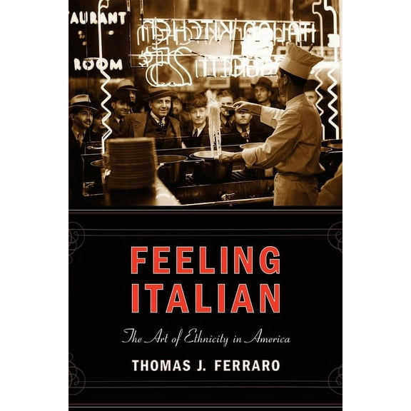 Nation of Nations Feeling Italian: The Art of Ethnicity in America, Book 18, (Hardcover)