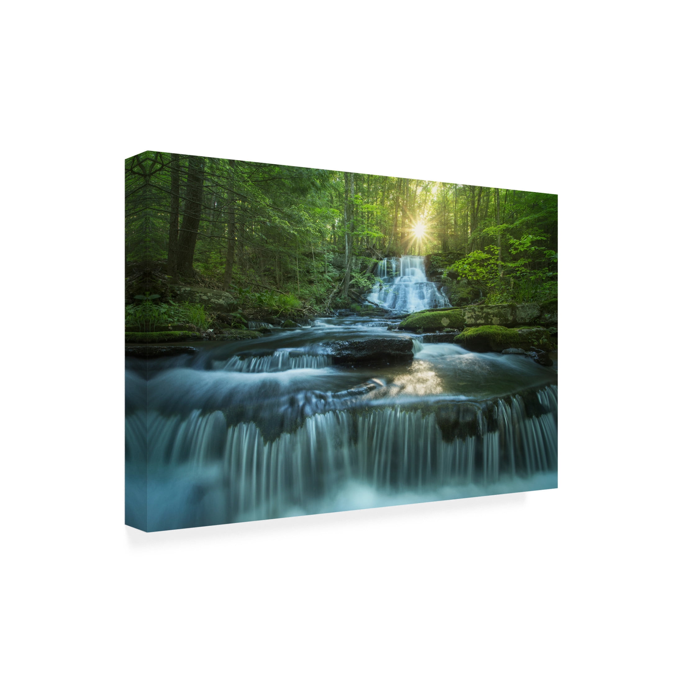 Canvas Wall Art - Patrick Zephyr 'Sublime' Wall Art for Living Room, Bedroom, or Office Décor by Trademark Fine Art - 47 x 30 Inches
