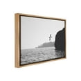 thumbnail image 4 of Stupell Industries Diving Ocean Cliff Landscape Photography Brown Floater Framed Canvas Art Print Wall Art, 31 x 25, 4 of 10