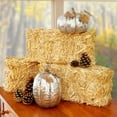 thumbnail image 2 of FloraCraft Straw Bales, 5-Inch-by-6-Inch-13- Inch Bale, 2 of 4