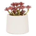 thumbnail image 3 of Planta Artificial Mainstays 13 cm con Maceta Blanca, 3 of 4