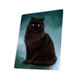 thumbnail image 1 of Persian Cat Blanket BLNKT48162, 1 of 3