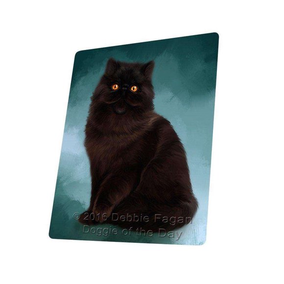 Persian Cat Blanket BLNKT48162