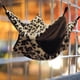 thumbnail image 1 of Jaula para animales pequeños, hamaca colgante, accesorio de jaula, nido de doble capa, litera, hamaca para petauros del azúcar, para que duerman loros negro 34cmx34cm, 1 of 8