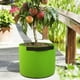 thumbnail image 5 of Xihbxyly Bolsas de Cultivo, Bolsa de Cultivo No Tejida, Excelente Drenaje, Asa de Transporte Resistente, para Uso En Interiores y Exteriores, Ideal para Entusiastas de La Jardinería Doméstica, Reutil, 5 of 7