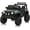 Black, variant on Riedhoff 12V Kids Ride-on Truck,Dual Doors,with Remote, Spring Suspension,LED Lights - Rose Red