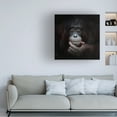 thumbnail image 2 of Antje Wenner Braun 'The Mirror Image' Canvas Art, 2 of 4