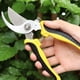 thumbnail image 1 of Professional Sharp Pruning Shears Garden Scissors Tree Trimmers Secateurs Pruning Shears Gardening Hand Pruning ToolsGreenGERMANY He Qiyong unisex, 1 of 1