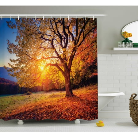 Fall Tree Shower Curtain Big Majestic Autumn Shedding Faded Fall Tree Shower Curtain Big Majestic Autumn Shedding Faded Leaves On The Hill Slop Seasonal Landscape Fabric Bathroom Set With Hooks Brown