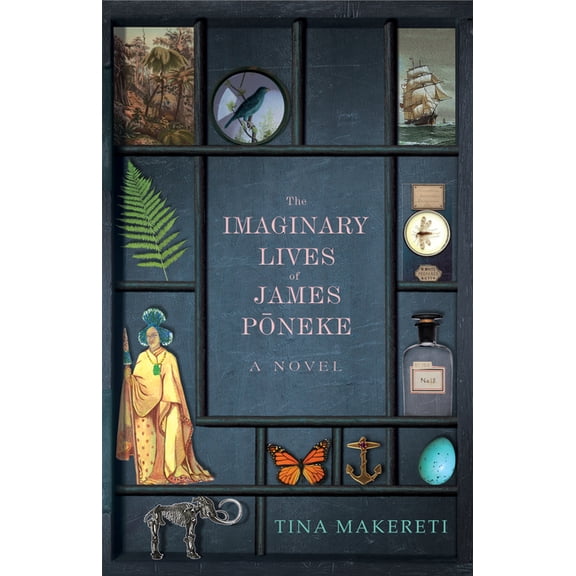 The Imaginary Lives of James Poneke, (Paperback)