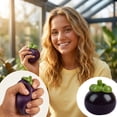 thumbnail image 2 of STPToys Realistic Mangosteen Stress Relief Gadget, Slow Recovery Fruit Shaped Decompression Accessory, Perfect For Birthday Gifts, Holiday Giveaways And Daily Reward Supplies, 2 of 7