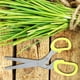 thumbnail image 4 of Tijera Scallion Tijeras de cocina de acero inoxidable de 5 capas ANGGREK Otros, 4 of 8