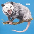 thumbnail image 3 of CafePress - Opossum Possum Animal Women's Dark T Shirt - Women's Traditional Fit Dark T-Shirt, 3 of 4