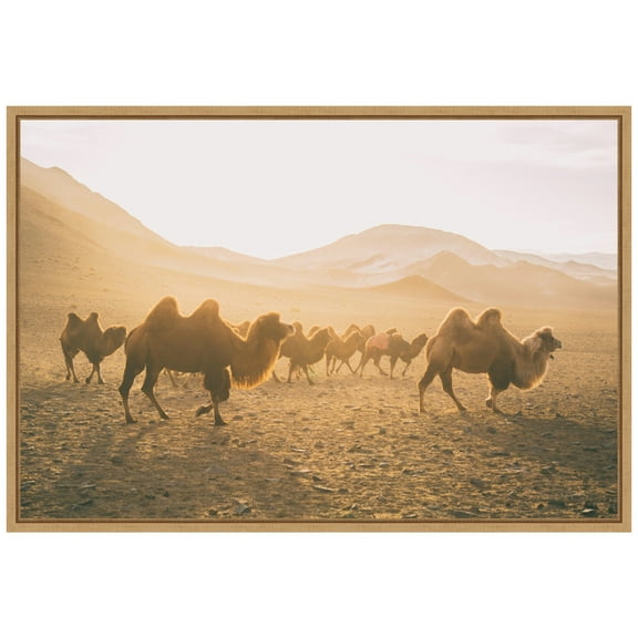 Amanti Art Camels on the Move Framed Canvas Wall Art Print