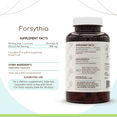 thumbnail image 3 of HerbEra Forsythia Capsules, Herbal Dietary Supplement for Immune Support, Forsythia (Lian Qiao, Forsythia Suspensa) Dried Fruit Capsules, Natural, 120 Capsules, 3 of 6