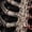 Standard Leggings, variant on 2D Print Gothic Skeleton Custom All-over Print High-Waist Standard & Flare Leggings, Red Skull Pants
