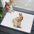thumbnail image 4 of Funny Bunny 2'x3' Washable Rug, Cute Art Fun Lovely Animals on Toilets Non-Slip Soft Doormat Area Rugs for Entrance Bathroom Bedsides, StainResistant Carpet for Kitchen Bedroom, Entryway Floor Mat, 4 of 9