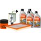 thumbnail image 1 of Kit De Aceite Mineral 10W30 Compatible con Kit De Afinación Sin Bujías Nissan Tsuru L4 1.6L del 1995 al 2012, 1 of 3