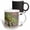 Multicolor, variant on 3drose, Botswana, Chobe Np, Flap-necked Chameleon Lizard-af05 Pso0143 - Paul Souders, 11oz Mug