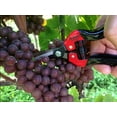 thumbnail image 2 of Barnel USA V3000 7.5in  Classic Straight-Blade Needlenose Garden Pruning Shears Loppers Lawn Garden Outdoor Supplies Hand Gardening Tools V3000, 2 of 2