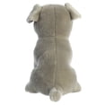 thumbnail image 4 of Aurora - Miyoni - 9" Pit Bull Puppy, 4 of 4