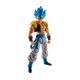 thumbnail image 1 of Figura TAMASHII NATIONS Super Saiyan God Super Saiyan Gogeta, 1 of 7