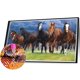 thumbnail image 3 of Cuadros Decorativos Ejecución de pintura de diamantes de caballo de taladro redondo completo para la decoración de diamantes de imitación (Y629) Ndcxsfigh Nuevos Originales, 3 of 8