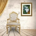 thumbnail image 3 of Vernageau, Sylvie 15x18 Gold Ornate Wood Framed with Double Matting Museum Art Print Titled - Phalaenopsis blanc, 3 of 4