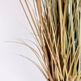 thumbnail image 4 of Tall Faux Pampas Grass | 81” Tall grass in a tall dark planter | Vintage Home, 4 of 7