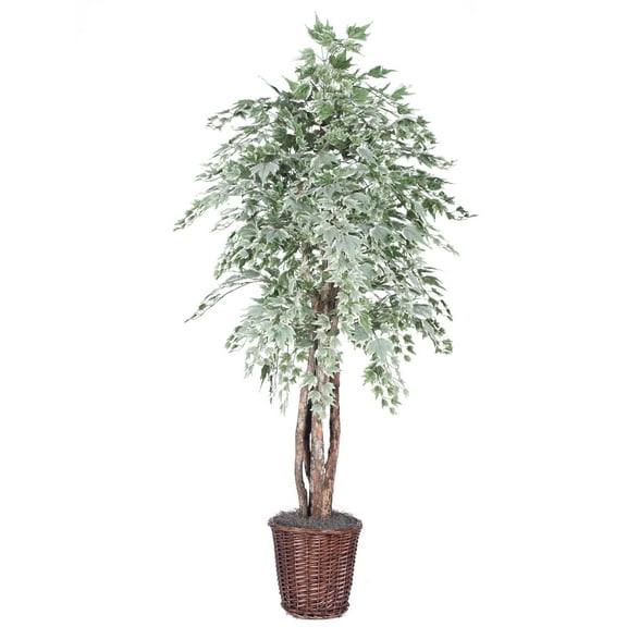Vickerman 6' Artificial Silver Maple Executive, Rattan Basket.