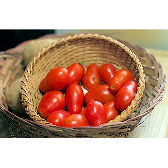 SEEDS == Amish Paste Heirloom Tomato- 20 Seeds- OP Non GMO -Sauce Freezing -Fresh Gourmet Flavor- nearly seedless -Super Productive