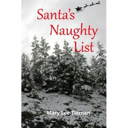 Mystery Dress Costume - Santa's Naughty List