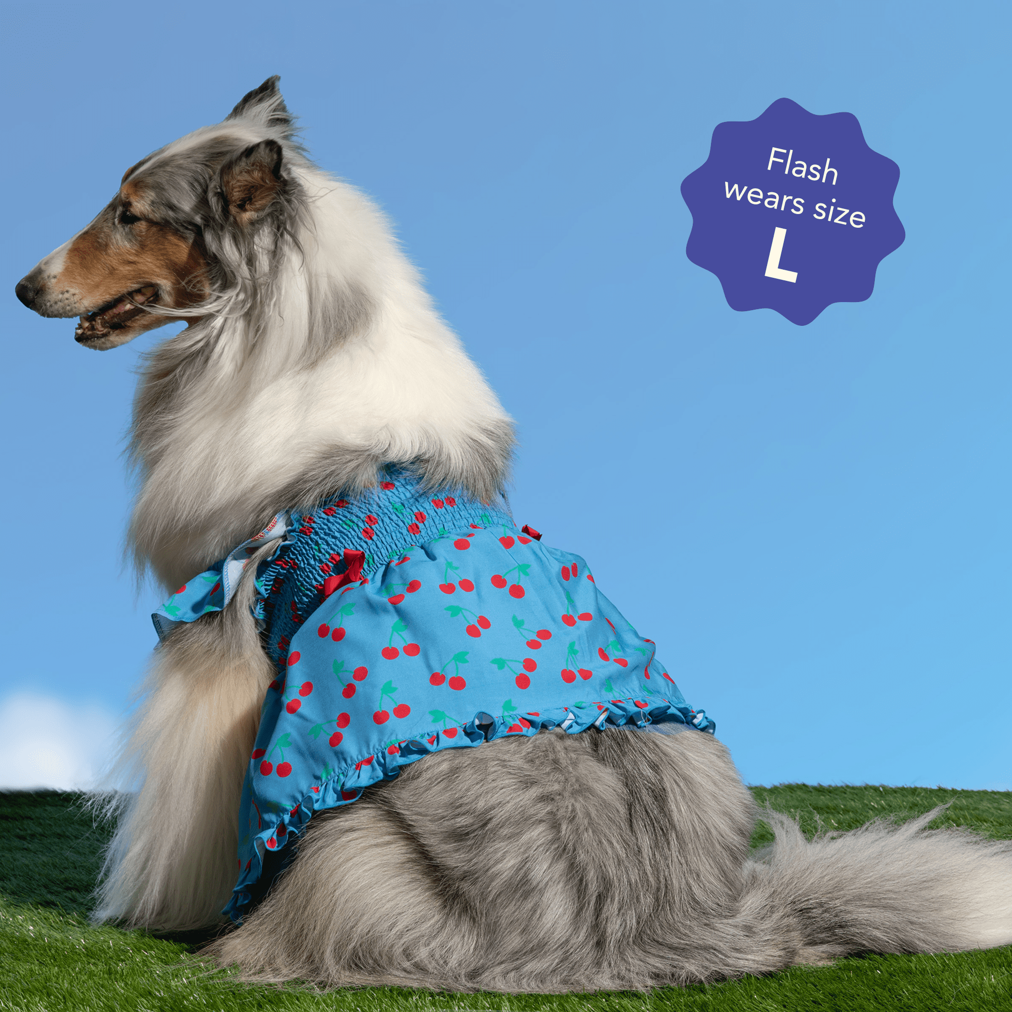 Oodles Blue Tart Cherries Spring Ruffled Dog Dress, XS