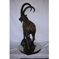 thumbnail image 4 of Standing Lifesize Mountain Goat Bronze Statue  - Size: 22"L x 36"W x 48"H., 4 of 11