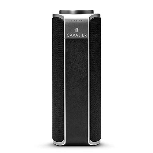 how to play music on alexa and bluetooth speaker