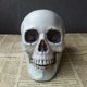 thumbnail image 1 of Decoración de Halloween para el hogar, esqueleto de calavera de plástico para Bar, Cosplay de Halloween, decoración de Casa Encantada para niños, 90CM, 2023, 1 of 4