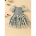 thumbnail image 3 of Bslissey Toddler Baby Girls Summer Dress Little Girl Flower Embroidered Short Sleeve Ruched Mesh A-line Dress 6M-4T Kids Cute Princess Dress for Casual Daily, 3 of 9