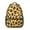 Leopard Print, variant on Leopard Print Backpack for School,Cute School Bag,Schoolbag with Adjustable Shoulder Straps & Padded Back,15.3"x11"x6.7"