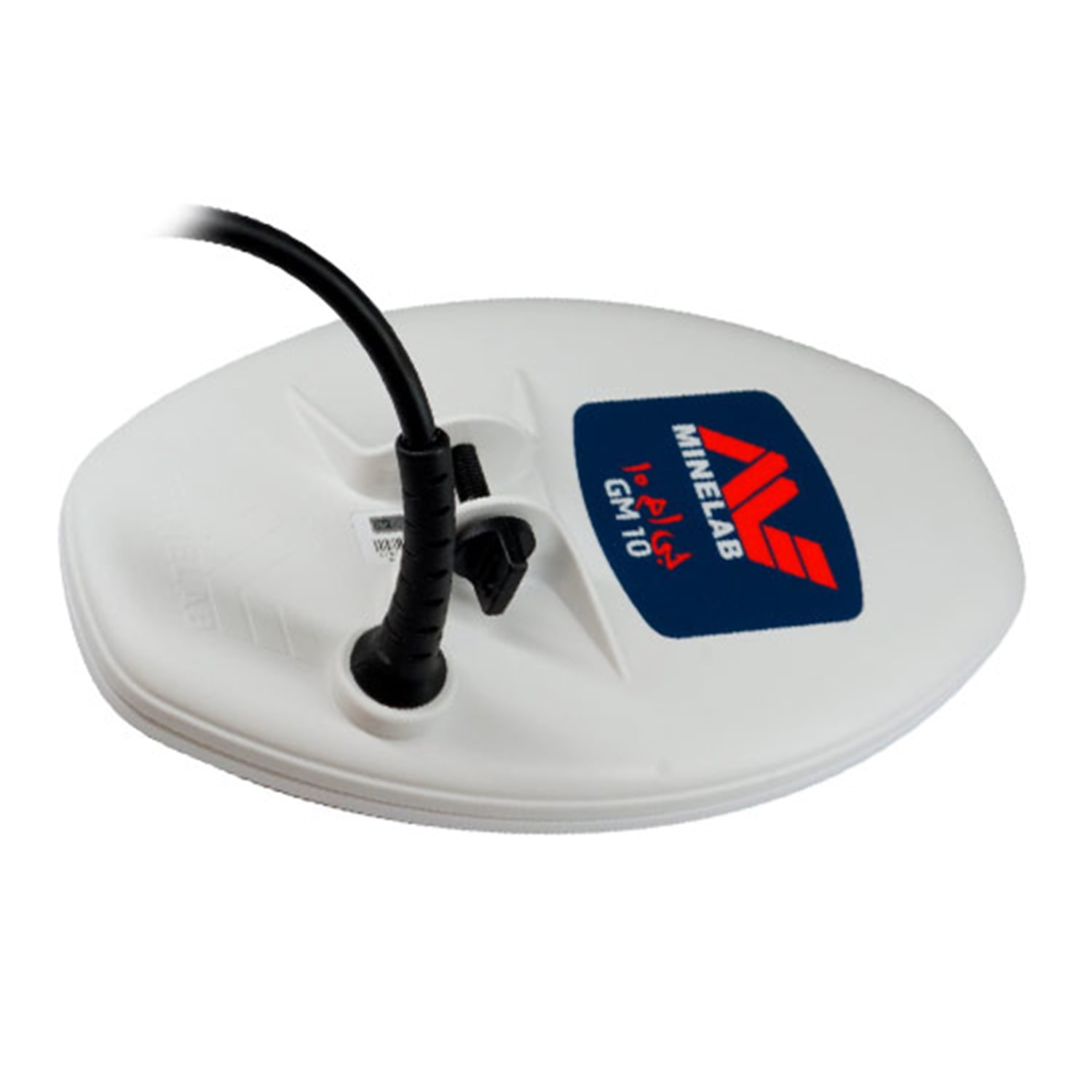 FA/エレサのきらめき #246 GEM MT 10 2022 Pokémon Japanese SWSH Elesa's Sparkle Trainer #246 GEM