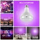thumbnail image 1 of E26 15W LáMpara UV Ultravioleta Bombilla de Luz Negra LáMpara de DeteccióN Fluorescente 220V / 110V DecoracióN de Fiesta de DJ en Casa, 1 of 5