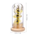 thumbnail image 4 of Mobestech LED Microlandschaft Glass Dome Light Mini Artificial Sunflower Lamp with Glass Cover Desktop Ornament (Yellow), 4 of 7