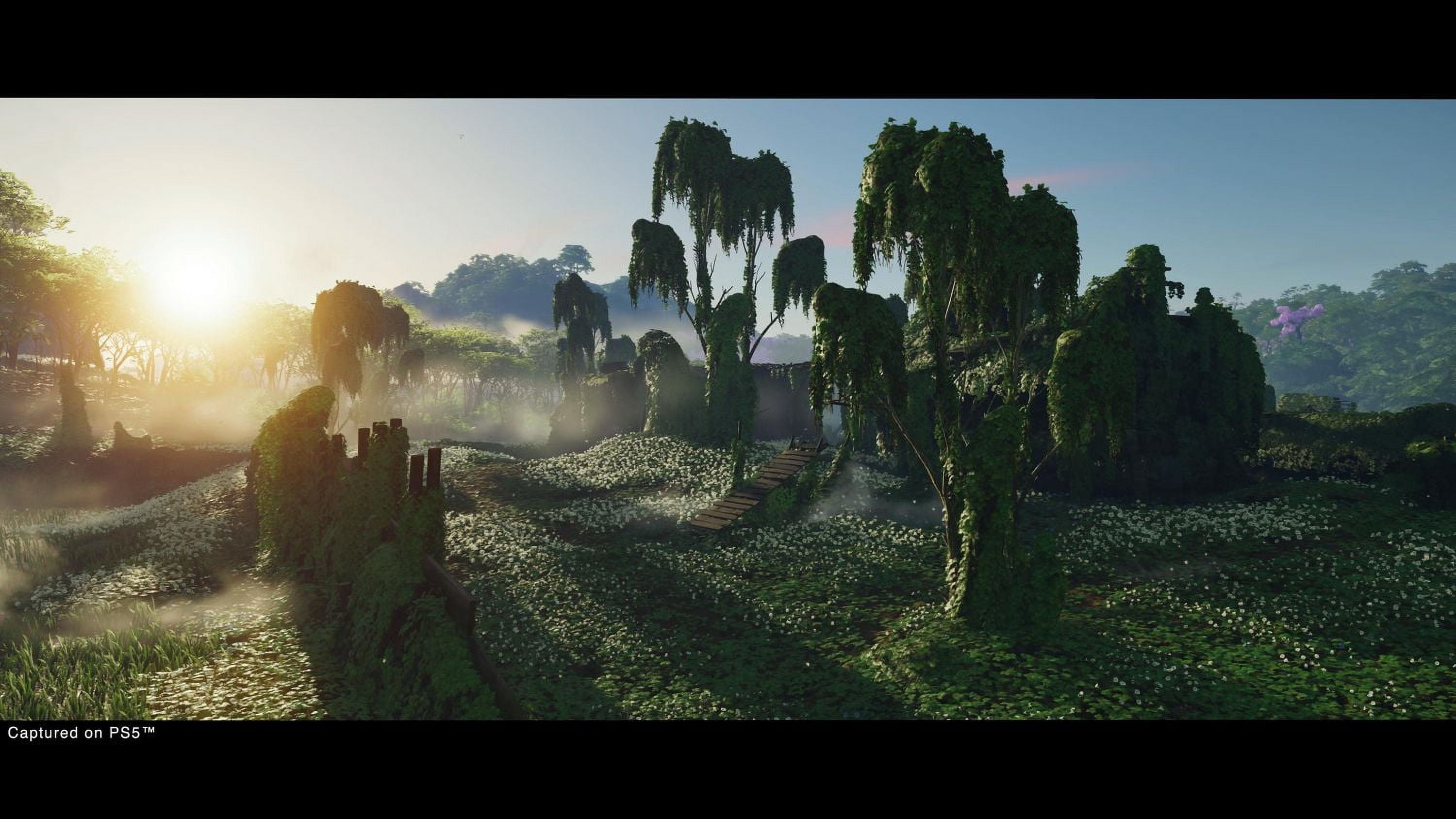 Jeu vidéo Ghost of Tsushima Director’s Cut pour PlayStation 5 LOGICIEL