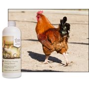 UltraCruz® Poultry Omega Boost, 1 quart